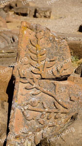 Pomegranate National Symbol Fertility Abundance