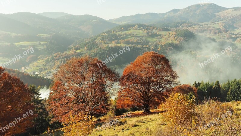 Autumn Landscape Mountain Landscape Colorful Colors