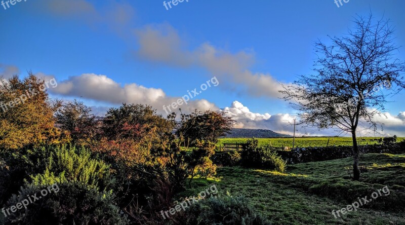 Trees Countryside Landscape Clouds Cornwall