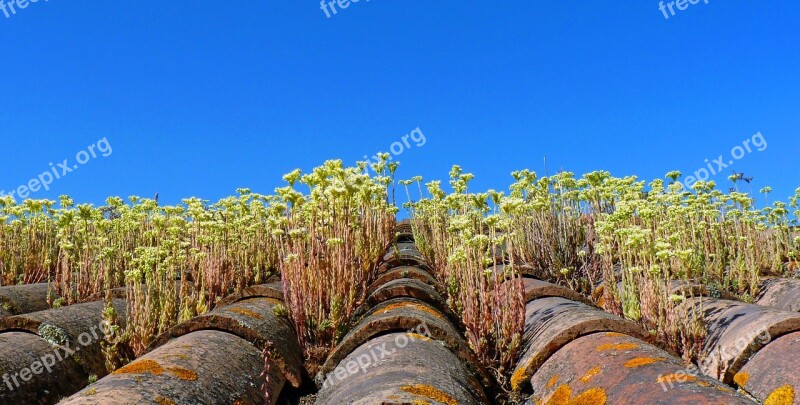 Roofing Tile Terracotta France Tiled Roofs