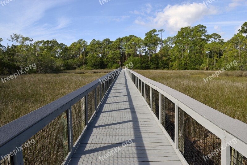 Board Walk Marsh Land Swamp Walkway Crossing