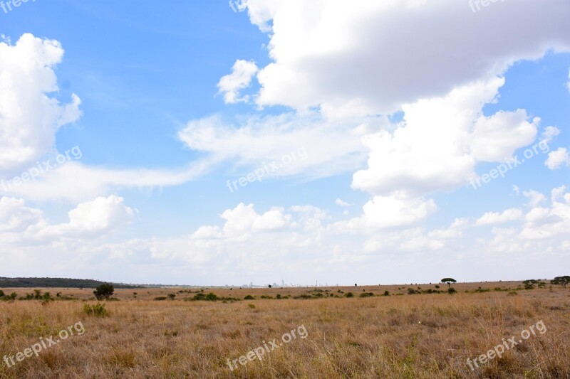 Landscape Kenya Savanna Nature Africa