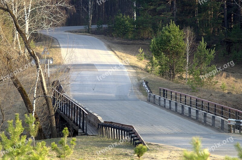 Bridge Forest Spring Small River Living Nature