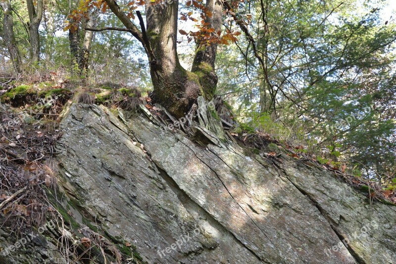 Rheinisches-shale Eifel Forces Of Nature Ocean Floor Free Photos