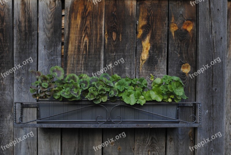 Plant Planter Rustic Flower Box Wooden