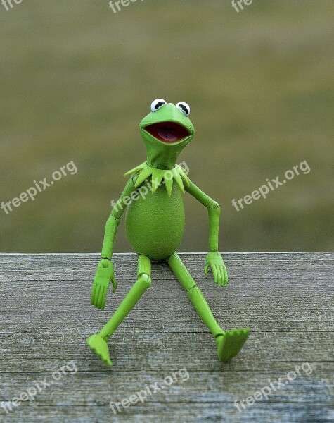 Kermit Frog Muppet Green Amphibian