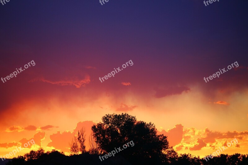 Sunset Contrast Tree Colors Fade