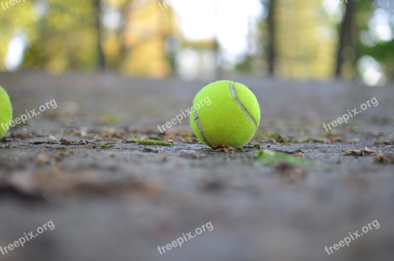 Ball Tennis Sports Equipment Free Photos