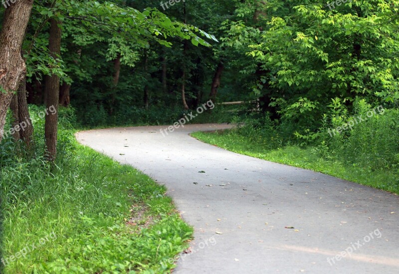 Green Forest Pathway Direction Destination