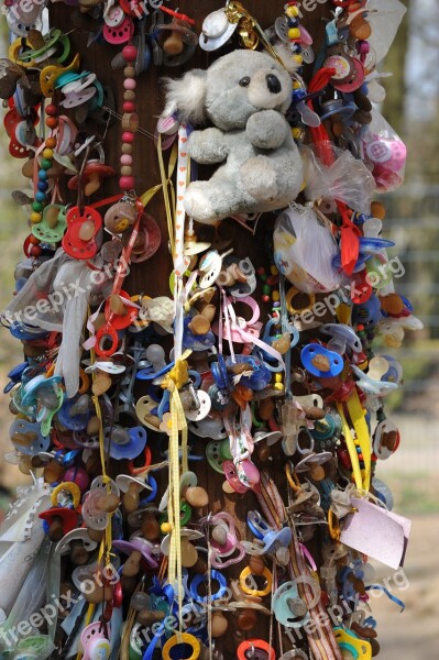 Zoo Pforzheim Pacifier Tree Free Photos