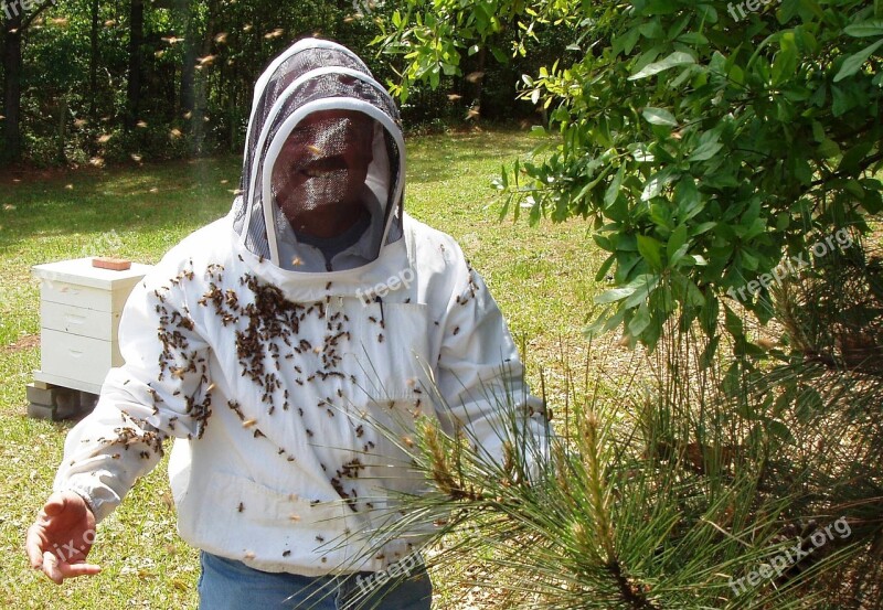 Bees Beekeeper Agriculture Apiary Honey