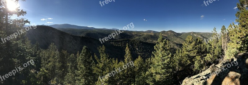 Colorado Mountain Tree Panoramic Green