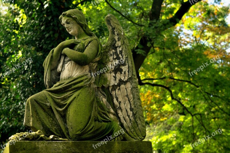 Statue Angel Stone Cemetery Character