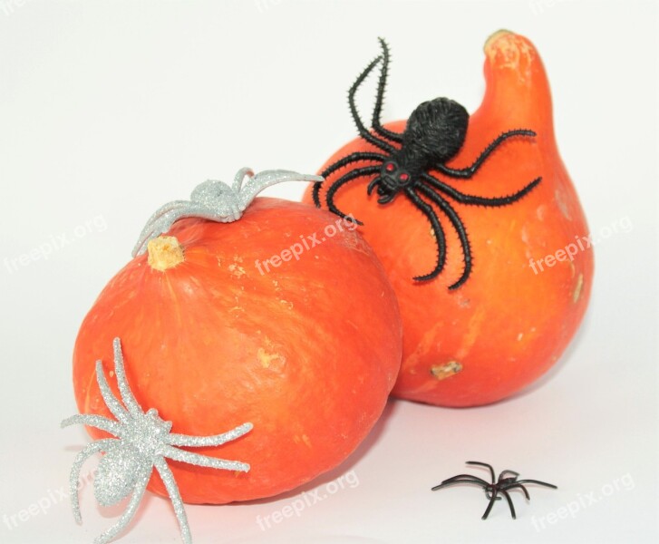 Pumpkins Halloween Spin Black Silver