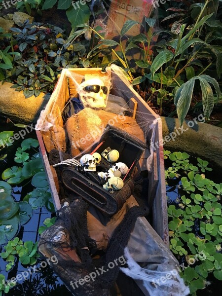 Halloween Coffin Spooky October Garden