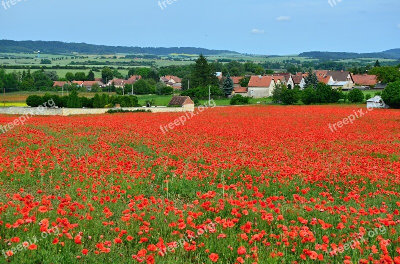 Poppies Field Red Weed Village Landscape