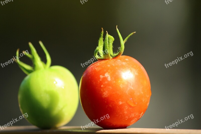 Tomato Green Red Twin Free Photos