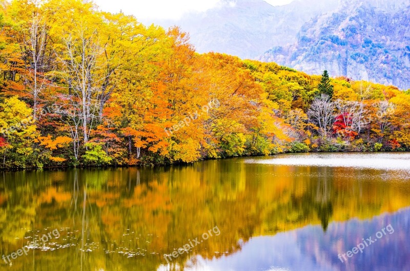 Japan Kagamiike Togakushi Autumnal Leaves Nagano