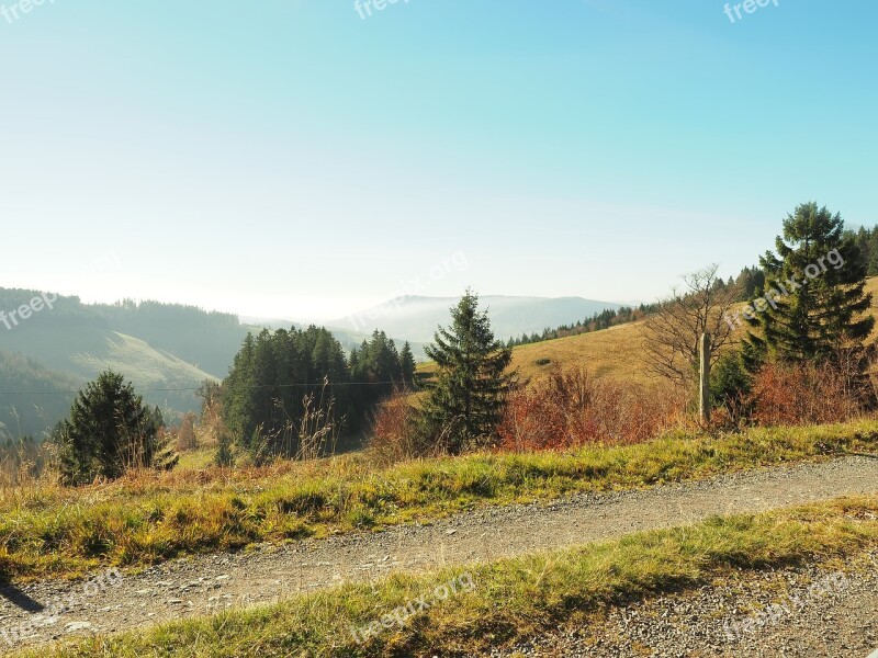 Black Forest Germany Landscape Nature Mountain