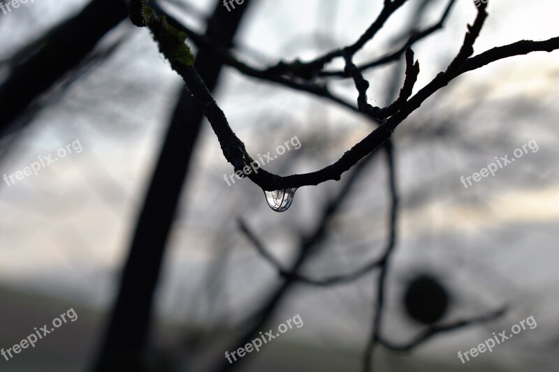 Drop Of Water Dew Dewdrop Autumn Leaf