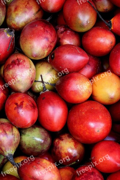 Bali Red Fruit Exotic Fruits Colorful Free Photos