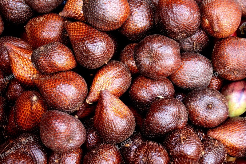 Salak Snake Fruit Snakeskin Fruit Salacca Zalacca Brown Fruit