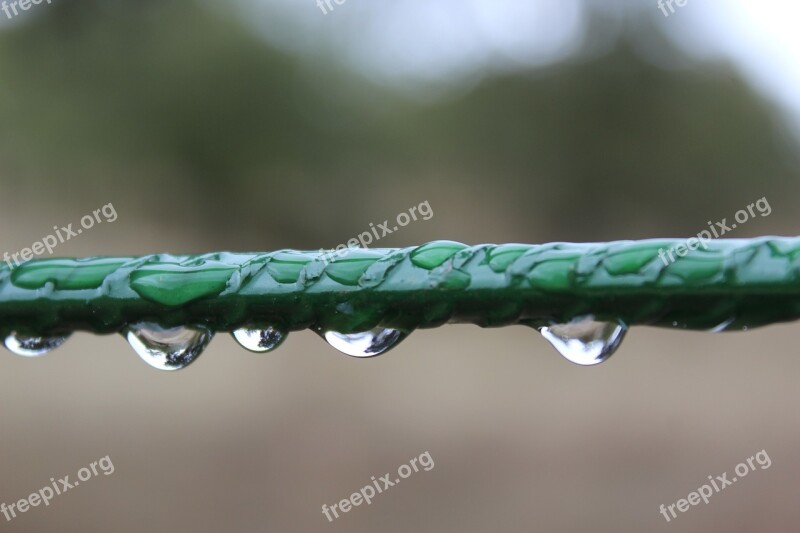 Drops Of Water Rain Moisture Drops Of Rain Drops