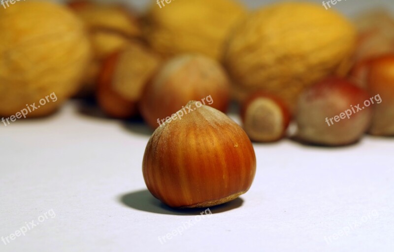 Walnut Italian Cane Shell Hard