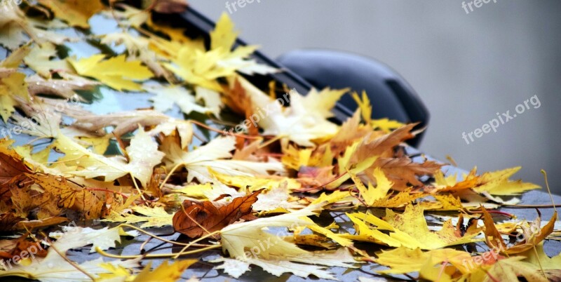 Background Leaves Autumn Leaves On Car Parked Car