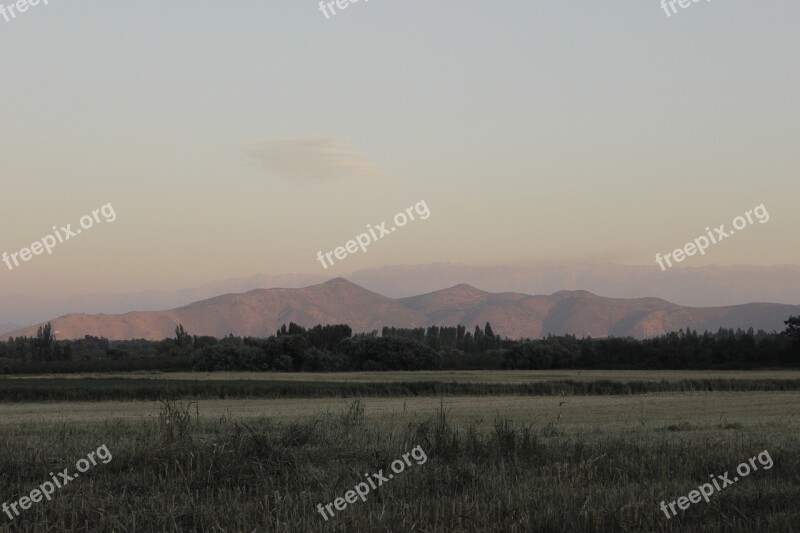 Park Field Open Air Landscape Beauty