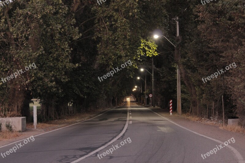 Street Path Sunset Lights Trees