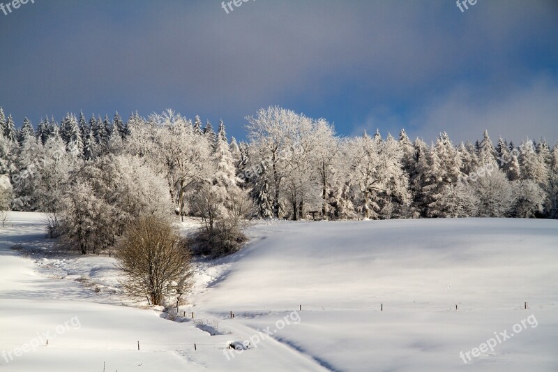 Winter Snow Wintry Hochrhoen Wasserkuppe