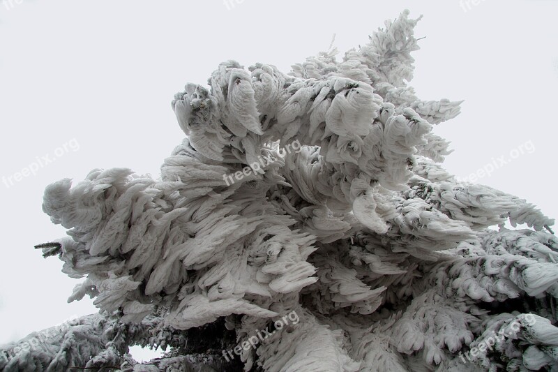 Winter Snow Wintry Hochrhoen Wasserkuppe