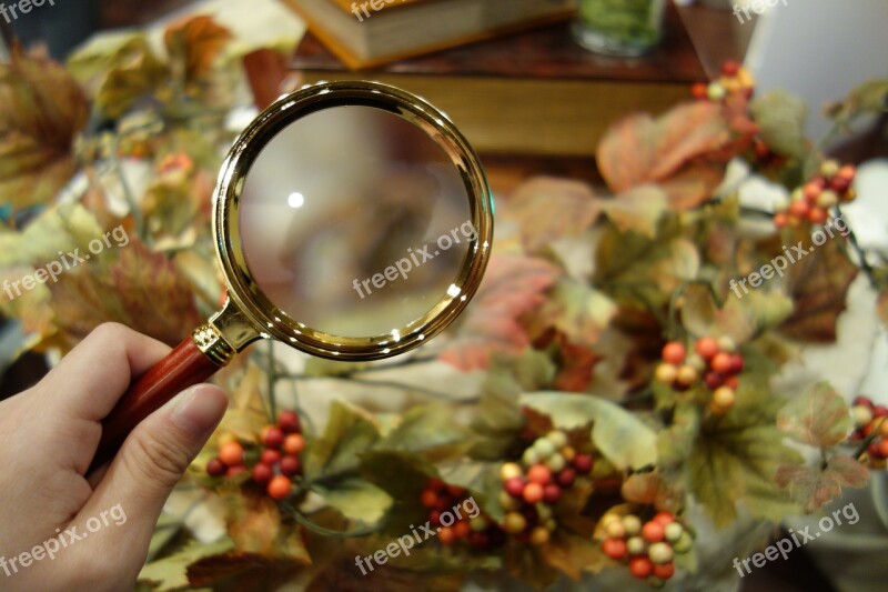 Mystery Magnifying Glass Autumn Free Photos