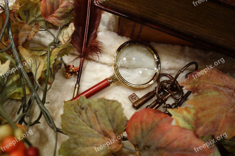 Mystery Magnifying Glass Autumn Free Photos