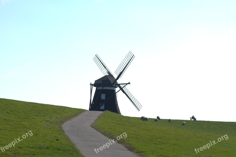 Norder Mill Mill Pellwormer Mill Windmill Pellworm