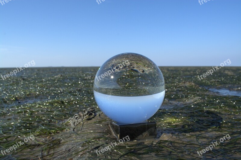 Glass Ball Ball Ball Photo North Sea Wadden Sea