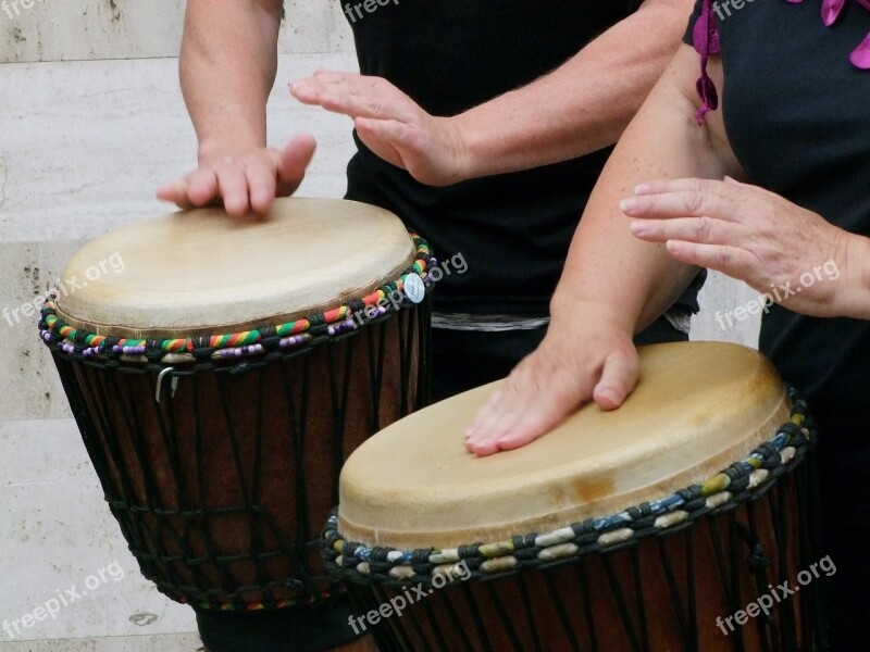 Drums Drummer Drum Musician Djembe