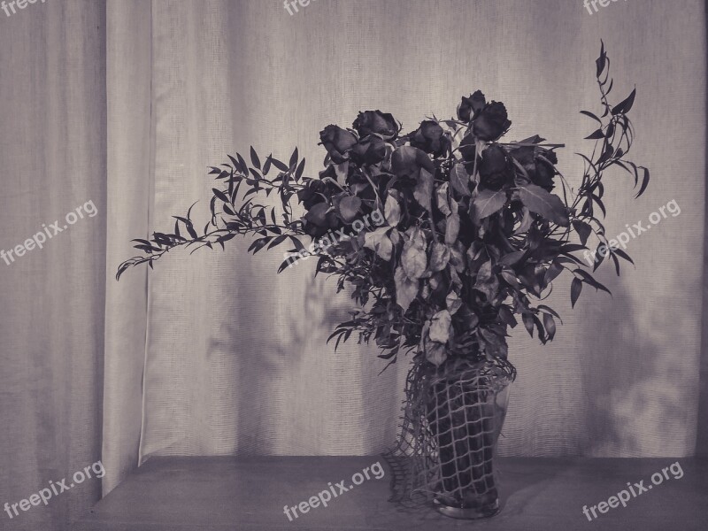 Roses Flowers Black And White Table Bouquet