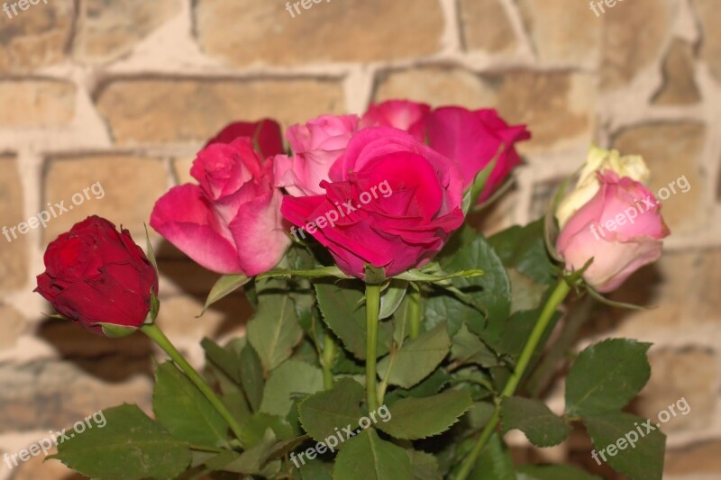 Roses Red Red Rose Bouquet Bouquet Of Roses