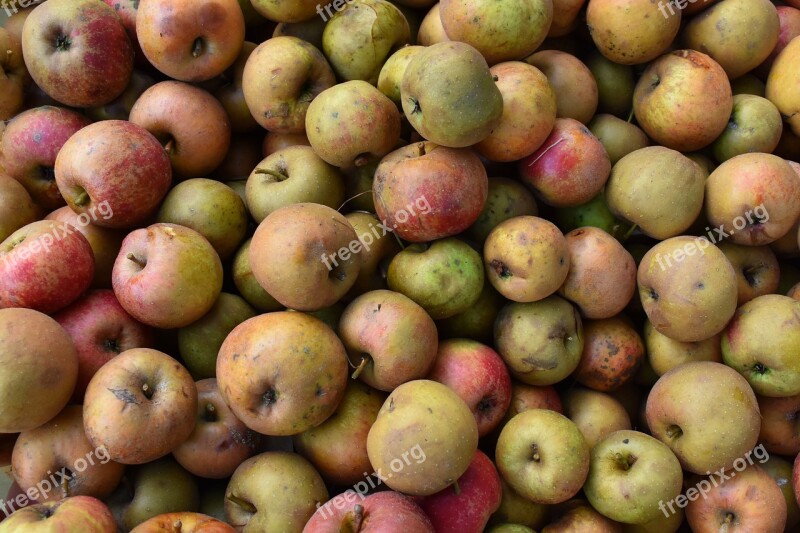 Apples Fruit Food Autumn Fruit Harvest