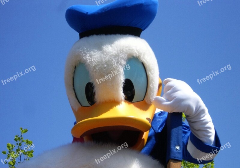 Animal Duck Donald Duck Disney Eyes