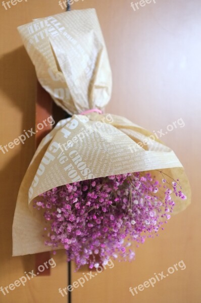 Gypsophila Elegans Bouquet Packing Flowers Ornament