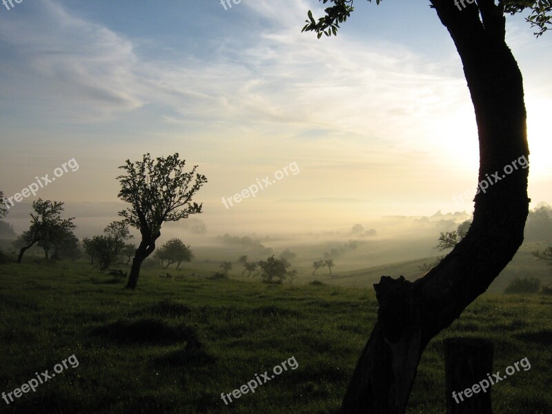 Morning Fog Mood Landscape Nature