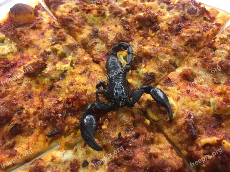 Scorpion Pizza Hot Free Photos