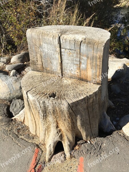 Stump Tree Bark Wood Old