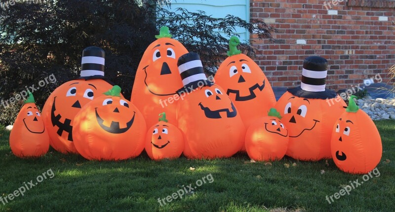 Halloween Background Halloween Decor Pumpkin Patch Free Photos