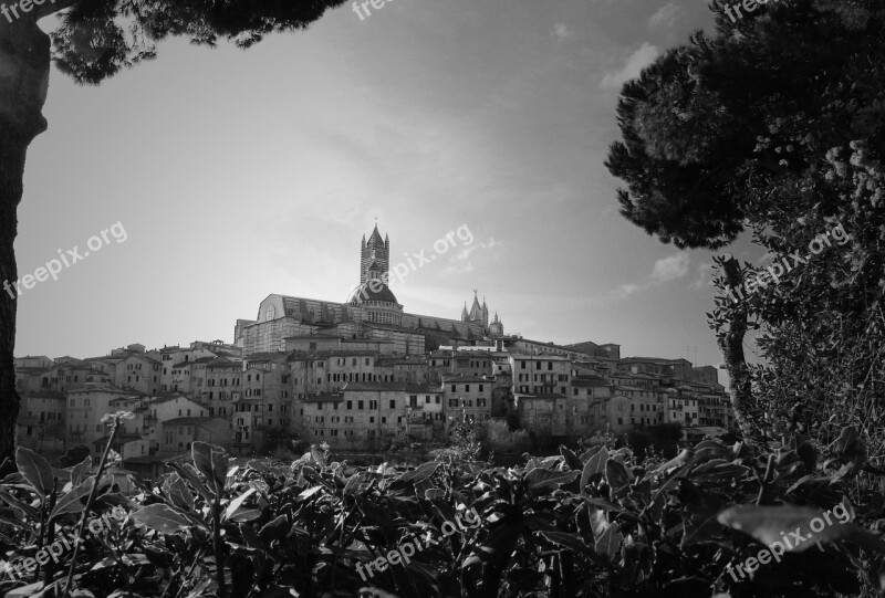 Sienna View Historical Medieval Italy