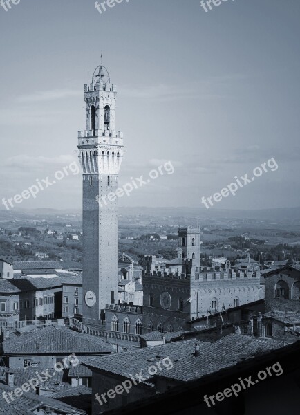 Black And White City Sienna Medieval Italy