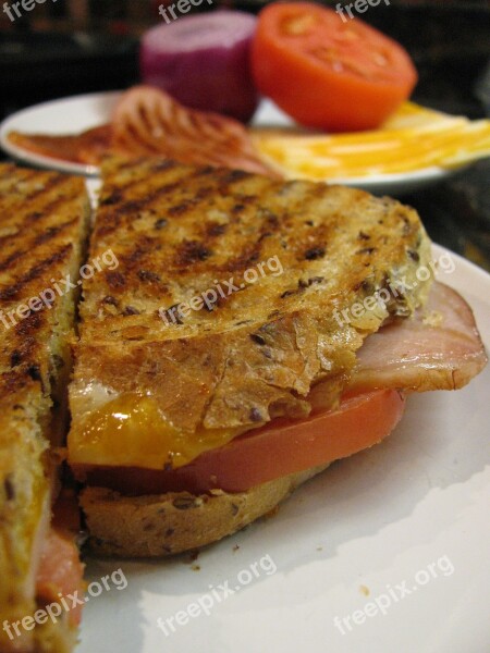 Panini Sandwich Grilled Bread Cheese